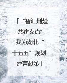“智汇荆楚·共建支点” 我为湖北“十五五”规划建言献策